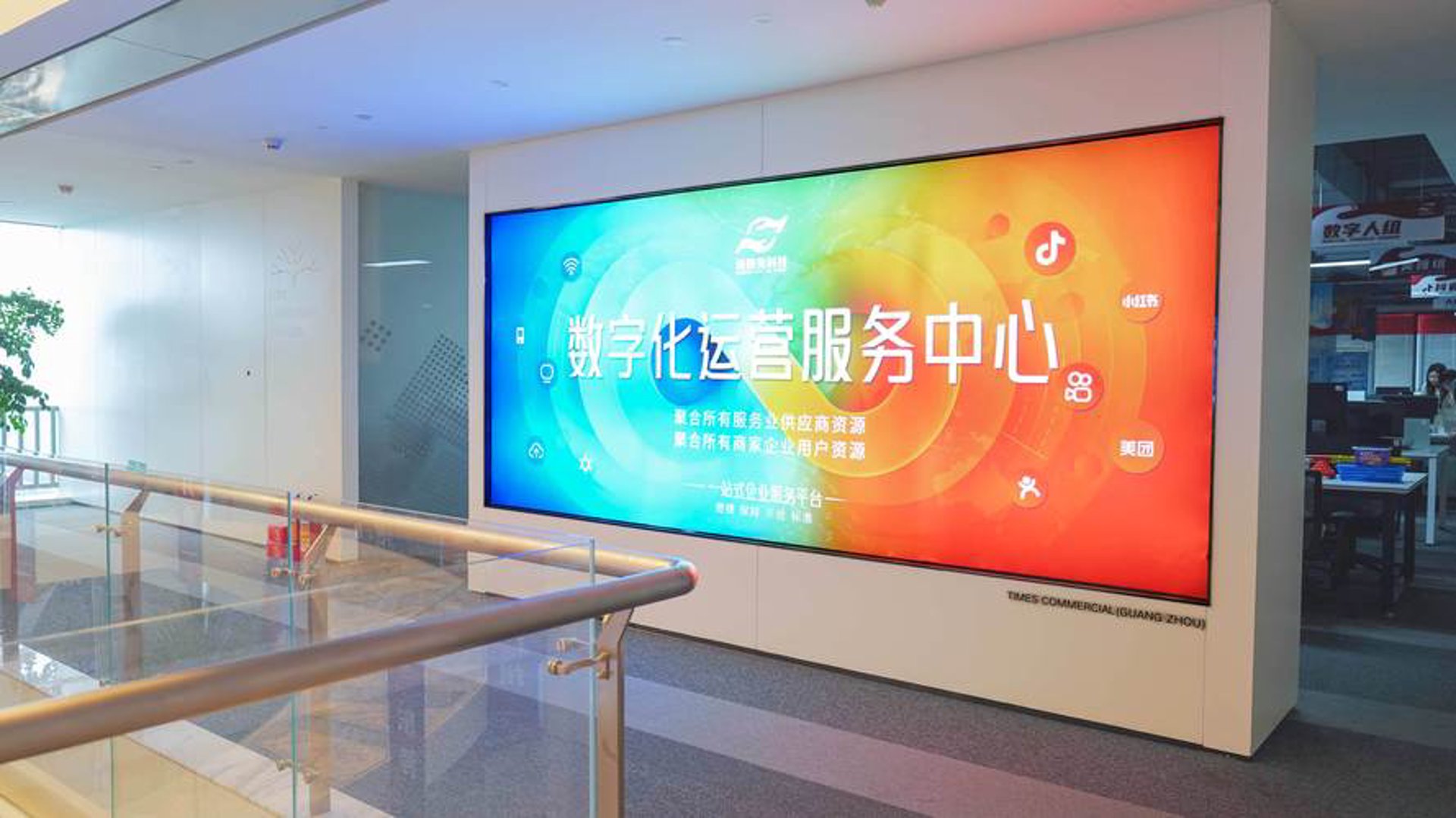 小叶虹晟网络